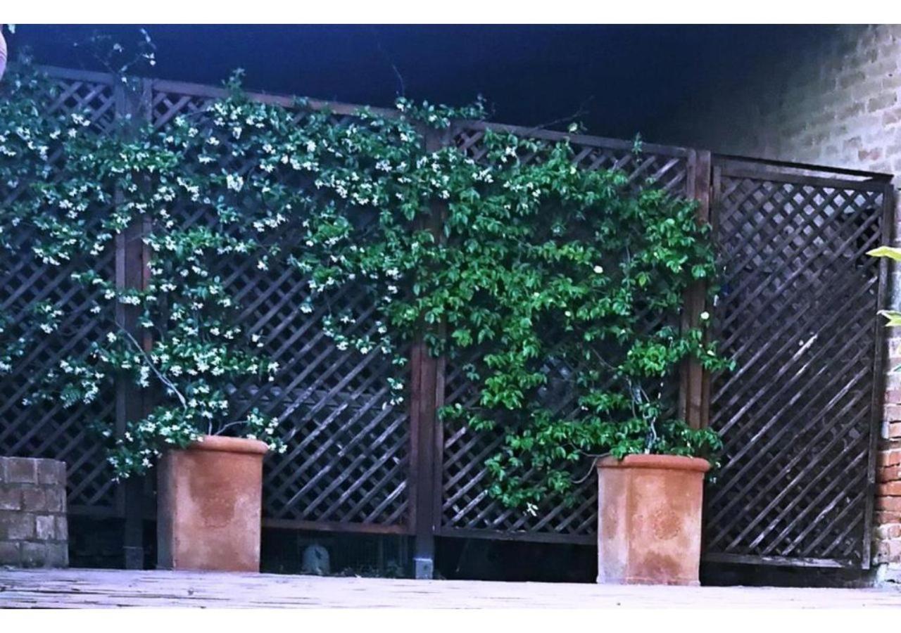 Agriturismo Le Crete - Appartamenti Asciano Exterior photo