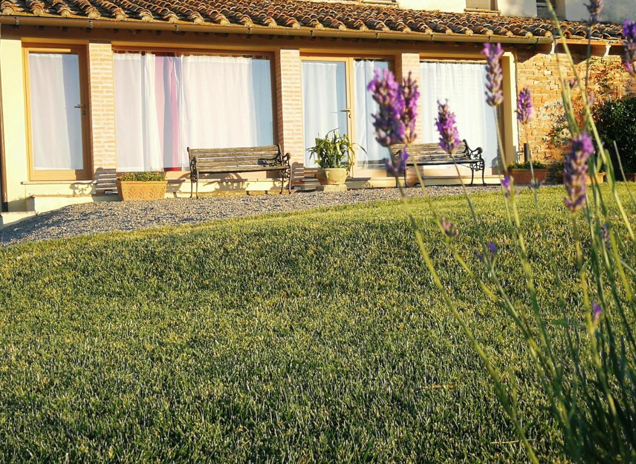 Agriturismo Le Crete - Appartamenti Asciano Exterior photo